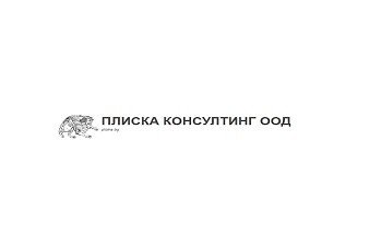 ПЛИСКА КОНСУЛТИНГ ООД